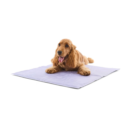 Dog Cooling Mat